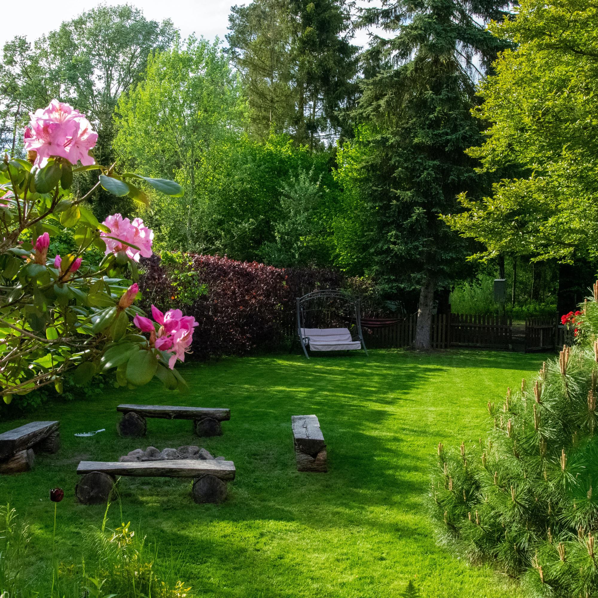 cardinal landscaping bolton ontario - portfolio image of backyard maintenance