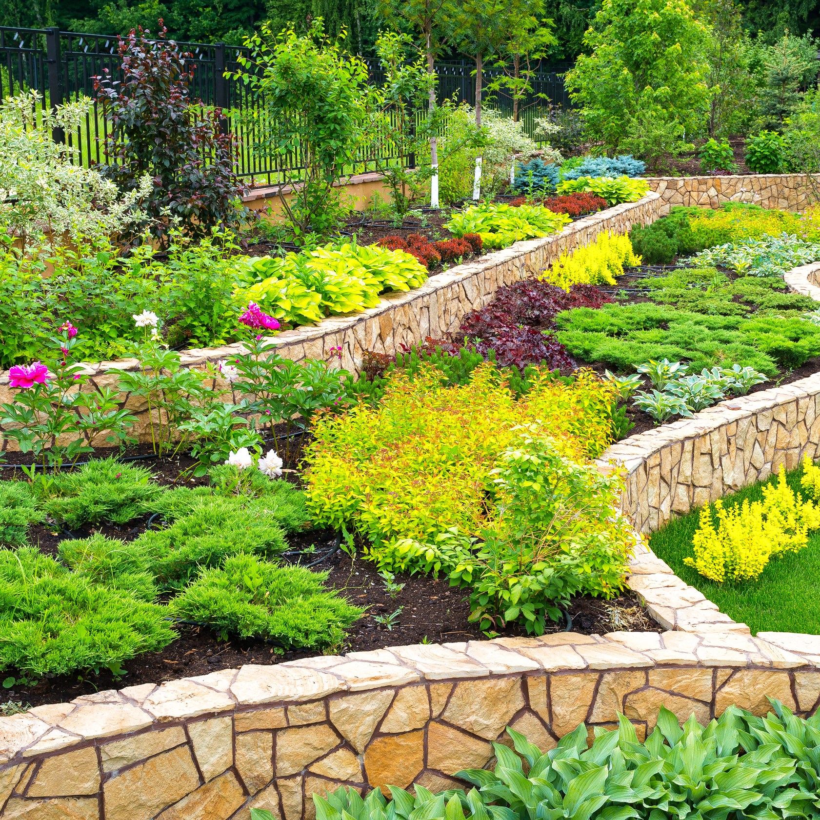 cardinal landscaping bolton ontario - portfolio image of garden flowers