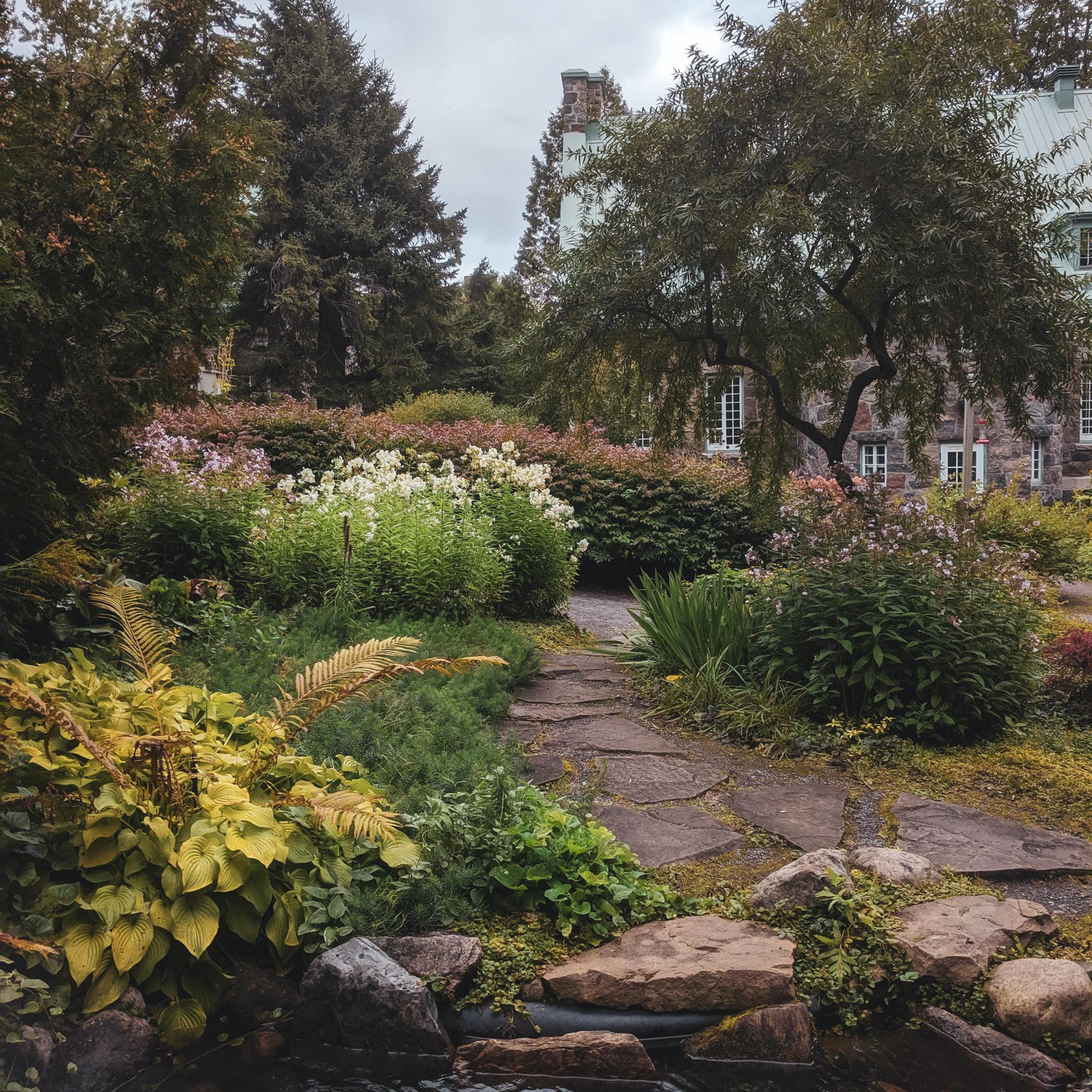 cardinal landscaping bolton ontario - portfolio image of pond maintenance